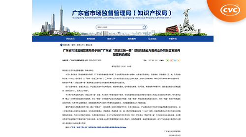 中国电研威凯检测入选广东省“质量三强一基”典型案例名单